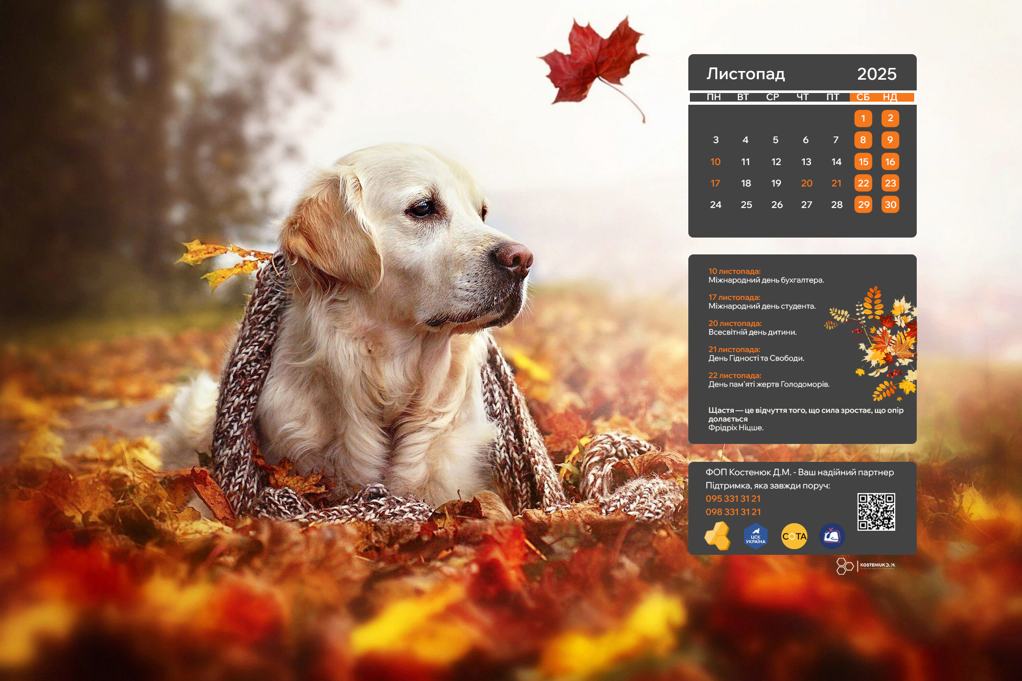 Зустрічайте листопад із новими шпалерами на робочий стіл!🍂!