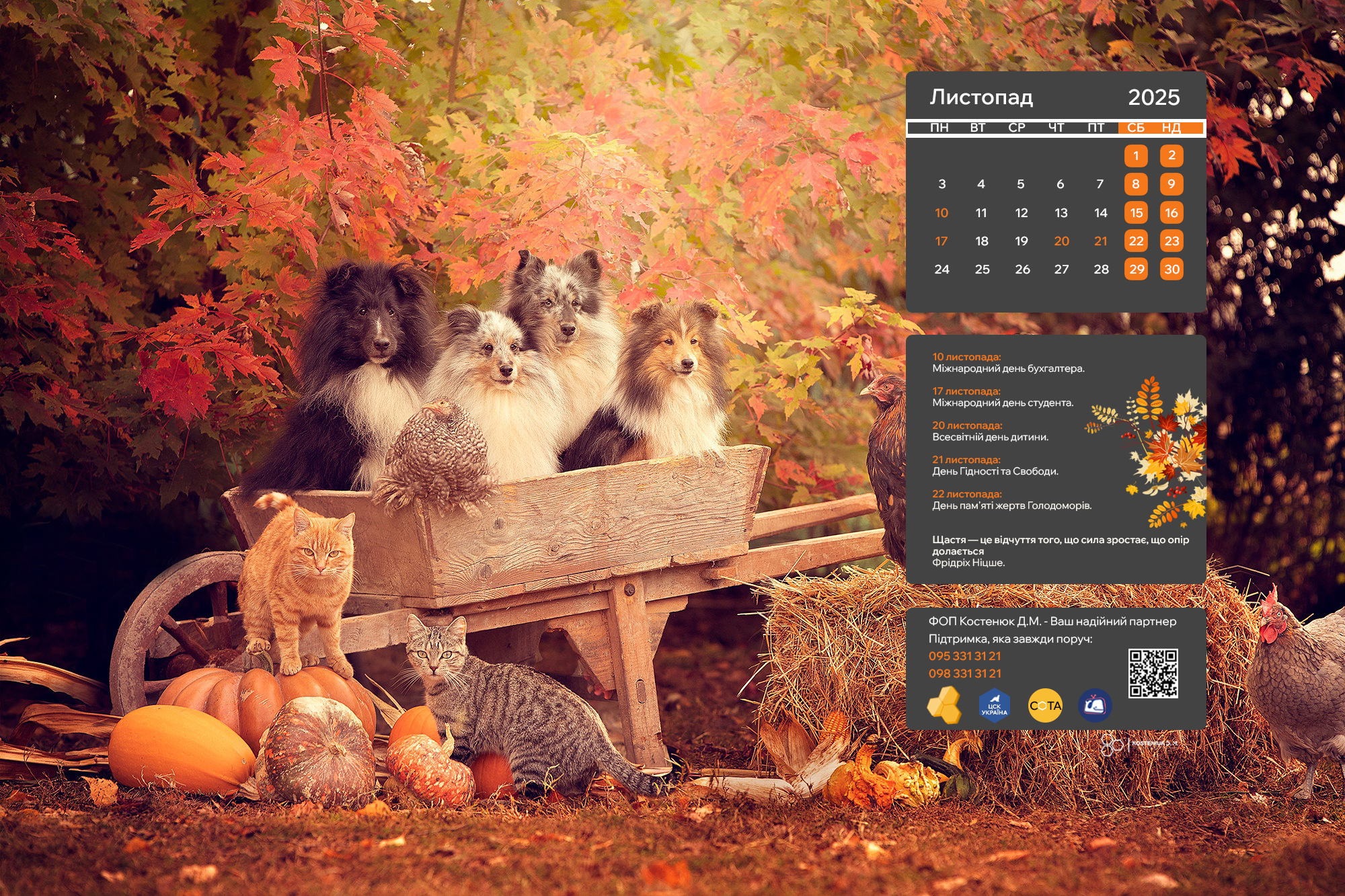 Зустрічайте листопад із новими шпалерами на робочий стіл!🍂!