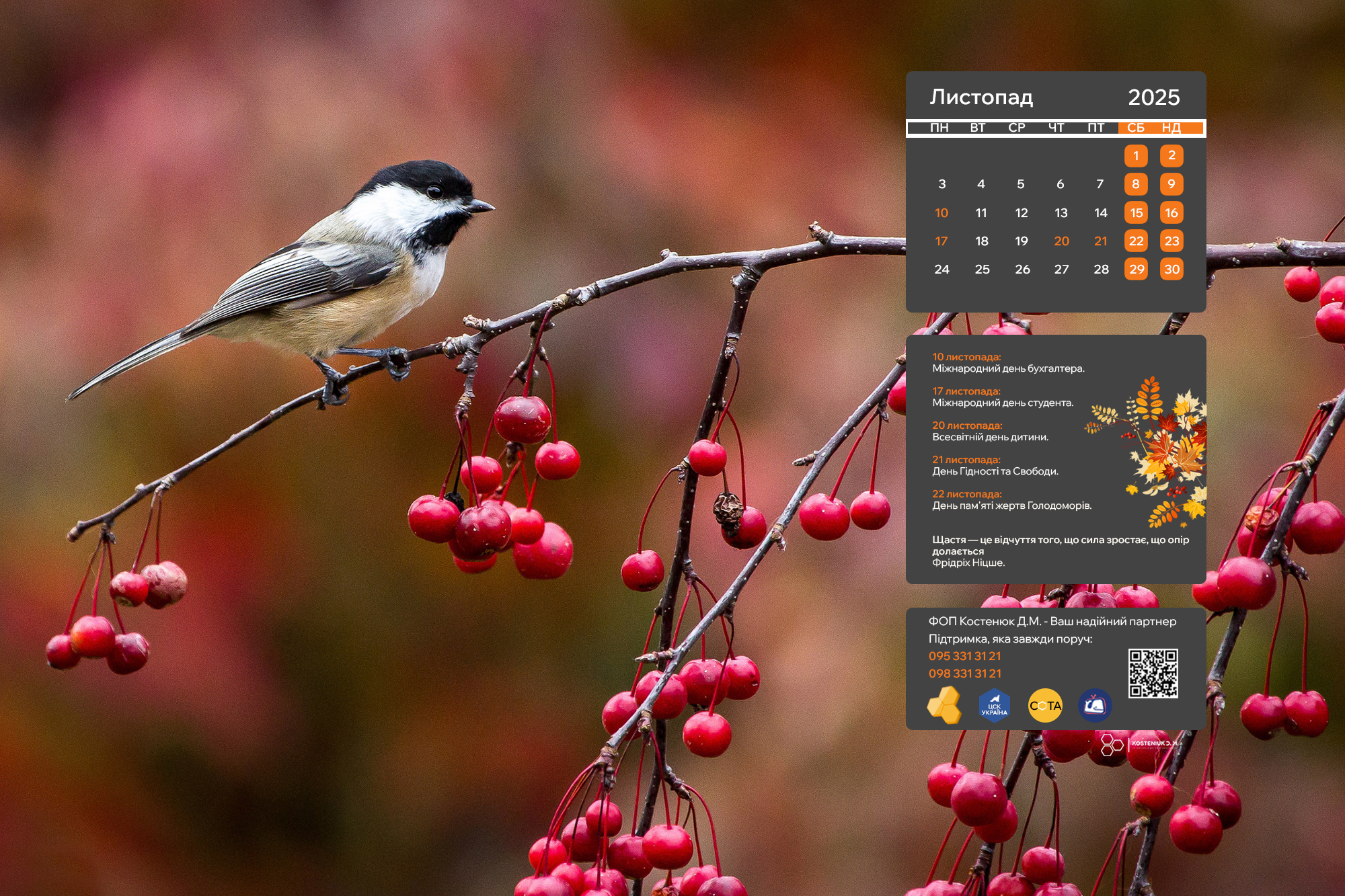 Зустрічайте листопад із новими шпалерами на робочий стіл!🍂!
