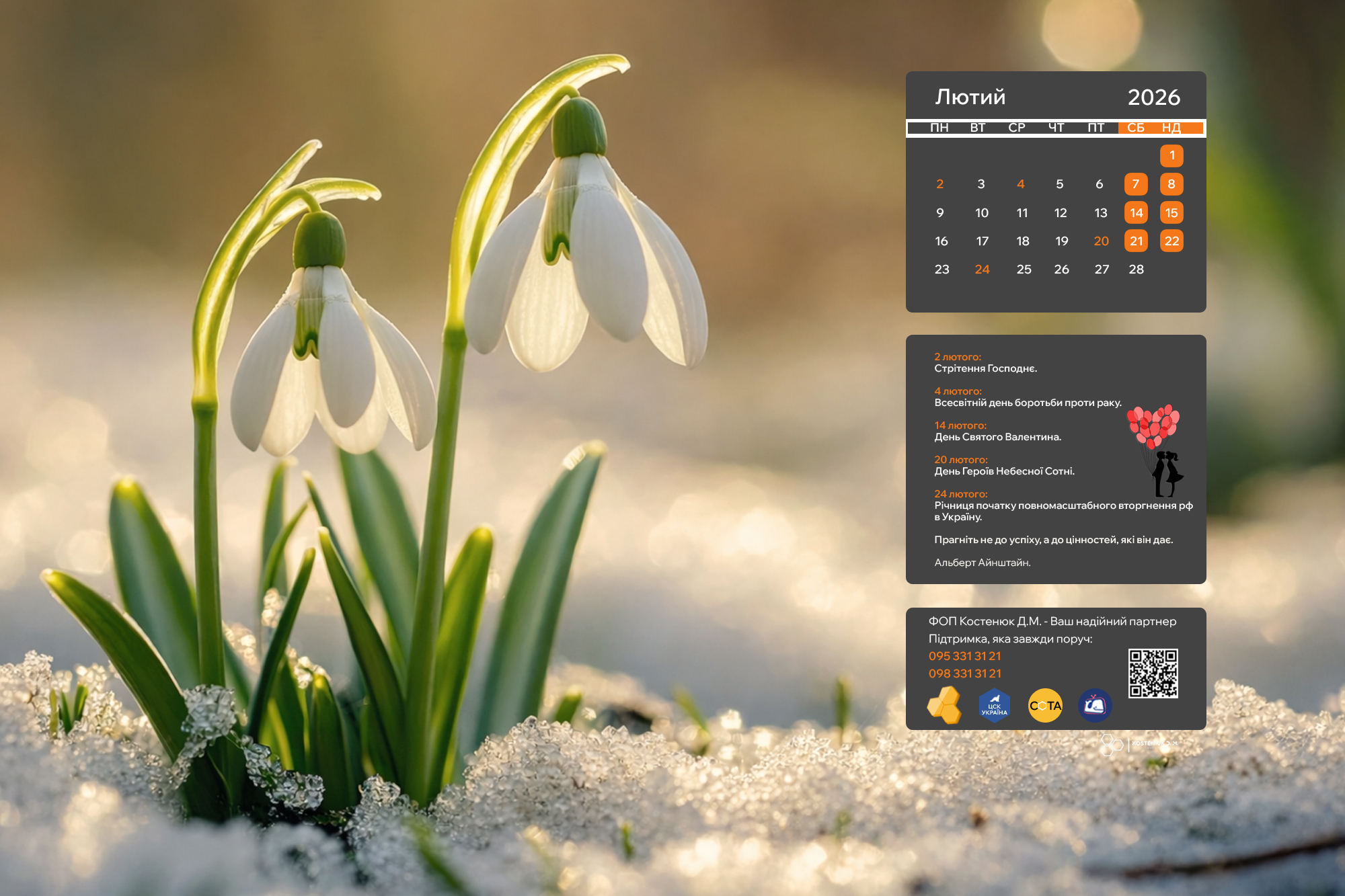 Лютий 2026 на екрані: нові шпалери для вашого настрою!